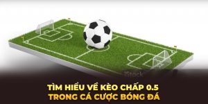 Khám phá về kèo chấp 0.5 trong giới cá cược bóng đá